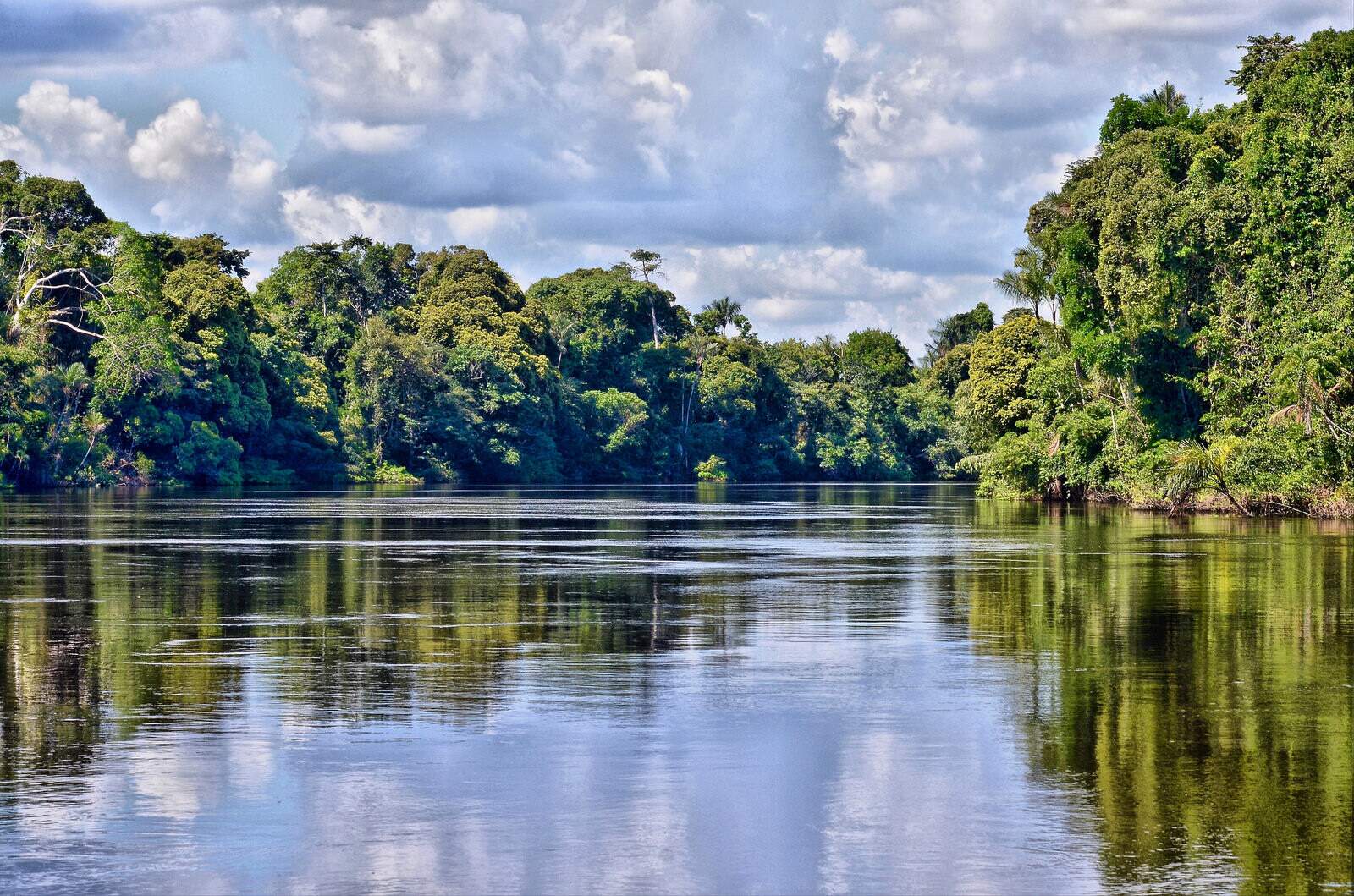 Aneel libera estudos para instalar três megausinas na Amazônia