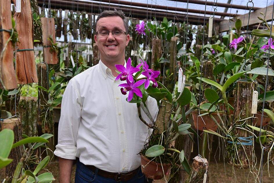 Exposição de orquídeas espera atrair 11 mil pessoas - O Liberal
