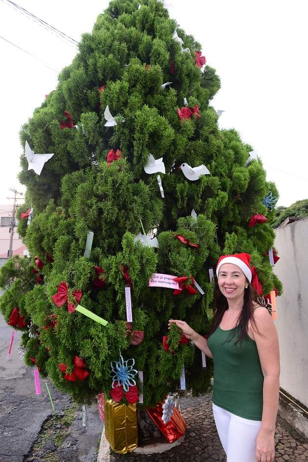 Professora pendura mensagens de Natal em árvore no São Domingos - O Liberal