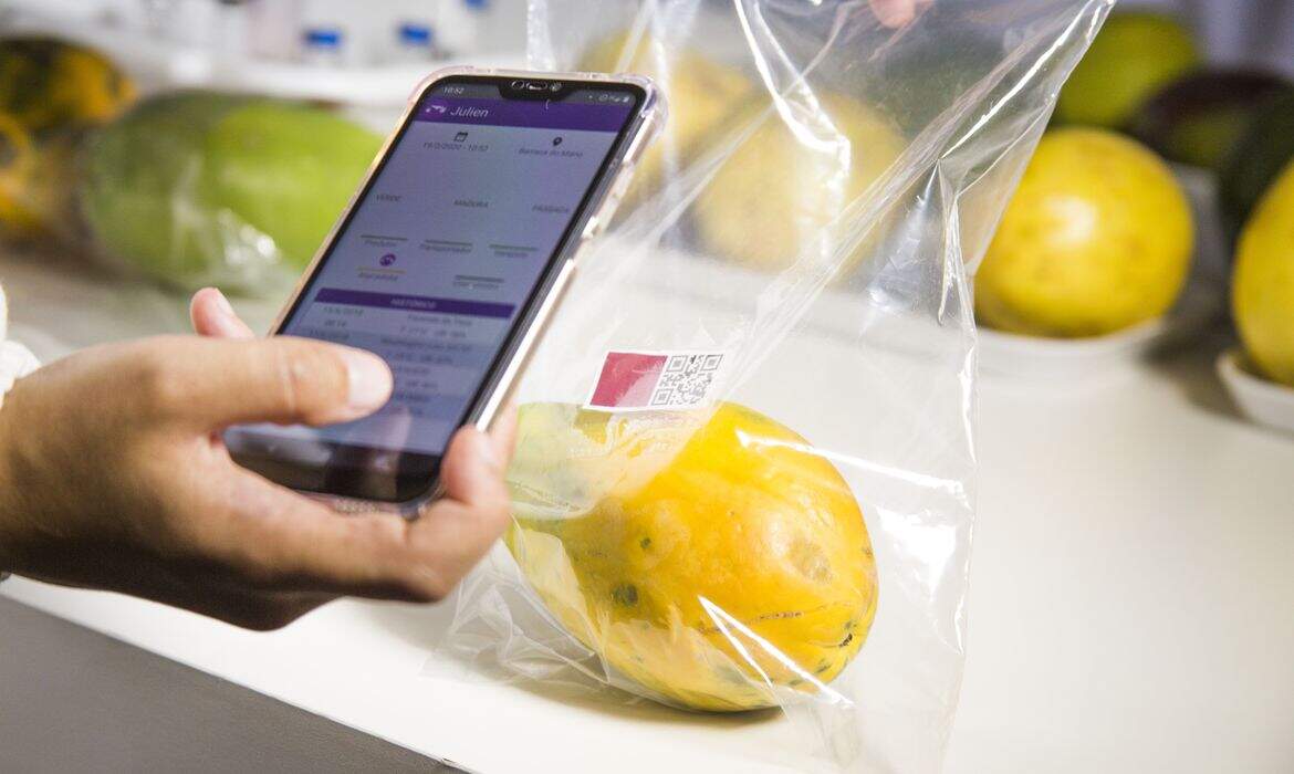 Resultado de imagem para Embrapa desenvolve sensor que avalia grau de maturação de frutas