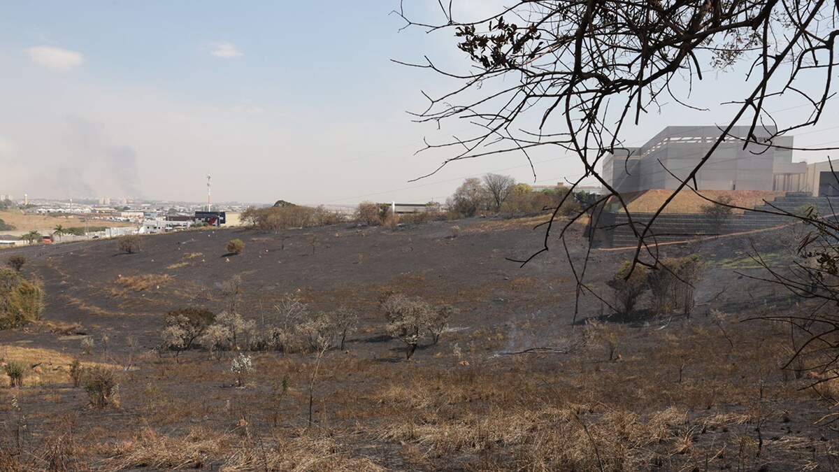 Incêndio atinge área verde de 10 mil metros no São Luiz