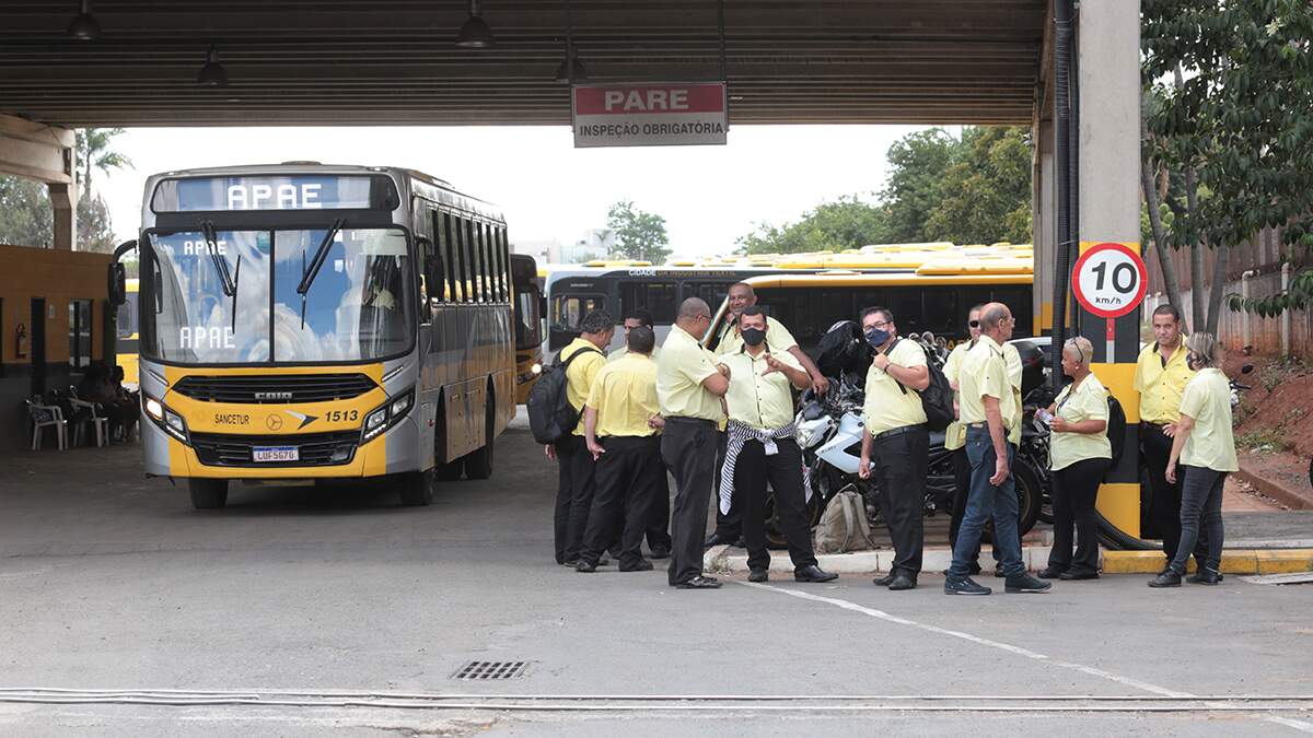 Prefeitura de Americana (SP) e Sancetur apresentam 20 ônibus 0 km nesta  segunda (20)