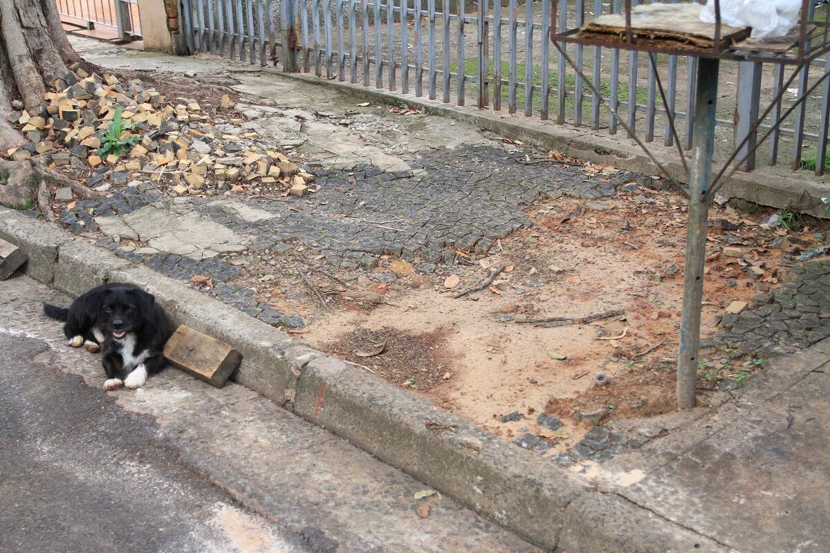 Calçada quebrada é motivo de reclamações no São Domingos