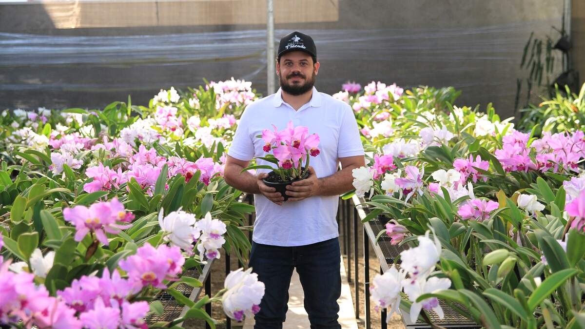 Exposição terá 1,5 mil orquídeas na Fidam neste fim de semana - O Liberal