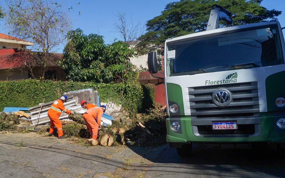 Ciclone Deixa 1 Morto E 20 Feridos No Rs Em Sp Ventania Causa 2 Mortes O Liberal 