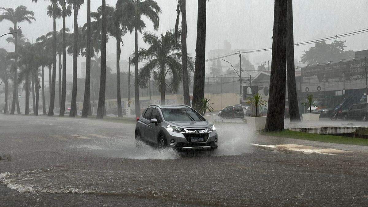 Defesa Civil alerta para novos temporais e ventos fortes em SP no fim de semana; veja previsão