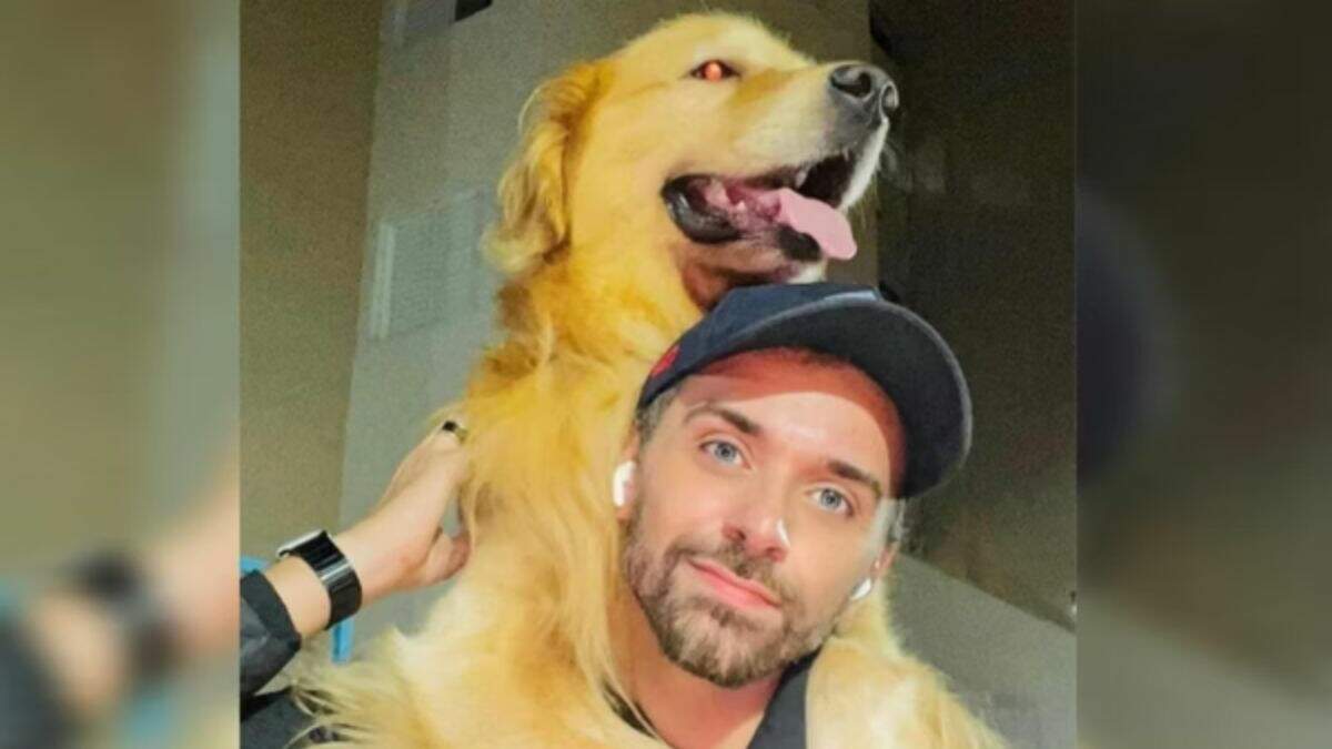 Cão morre após ser embarcado em voo errado da Gol