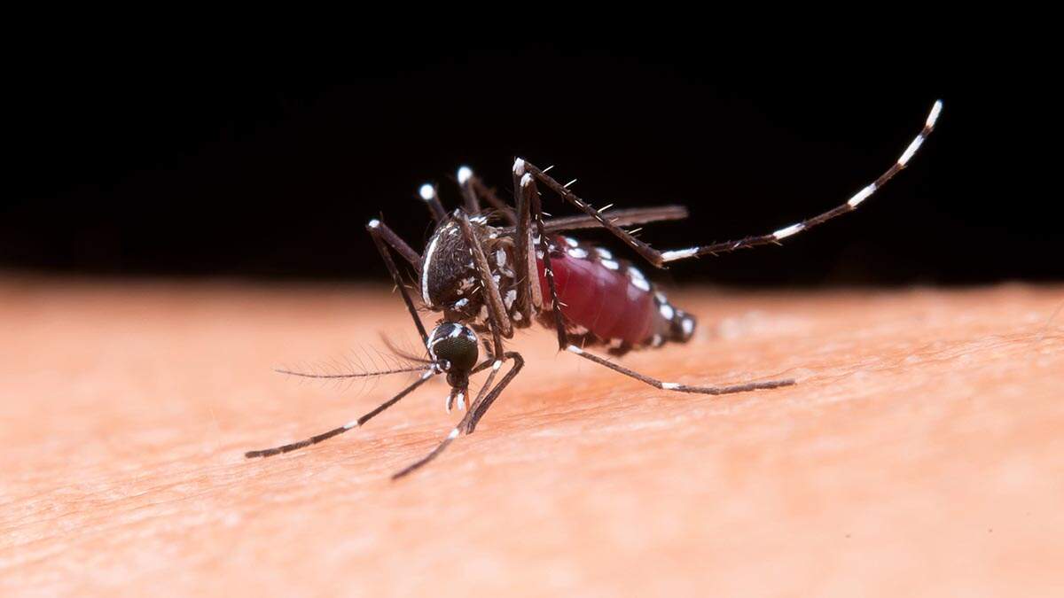 Estado repassa R$ 9,4 milhões à região para combate à dengue