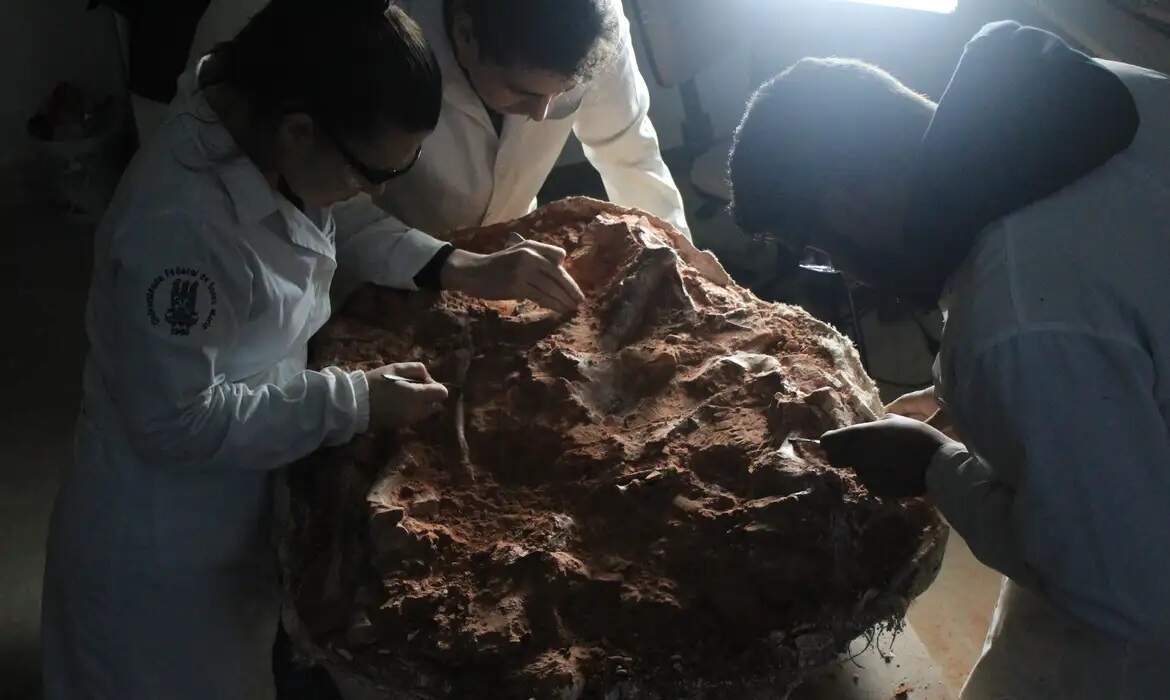Fóssil encontrado no RS após enchentes vai ajudar a entender a origem dos dinossauros