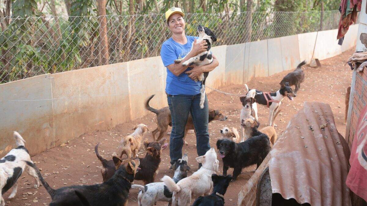 Moradora de Americana abandona carreira para cuidar de animais