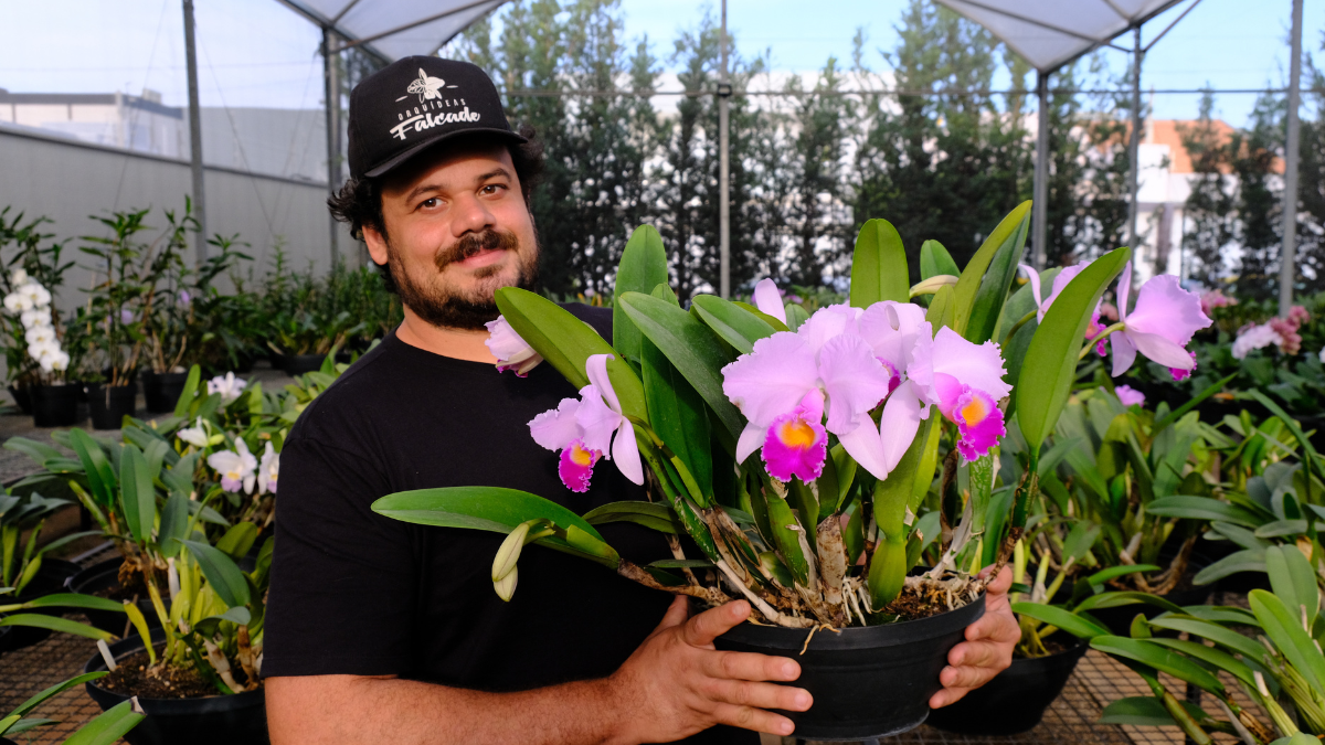 Fidam recebe Exposição Nacional de Orquídeas no próximo fim de semana, em Americana