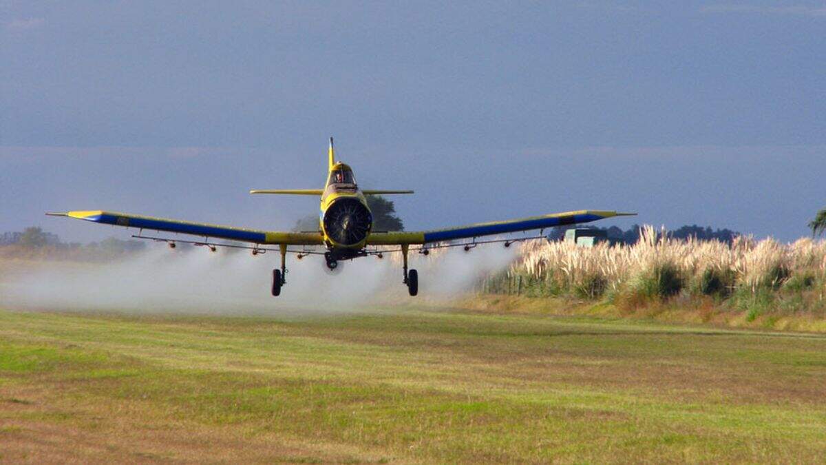 Projeto que proíbe pulverização aérea com agrotóxicos em Americana pode ser votado hoje