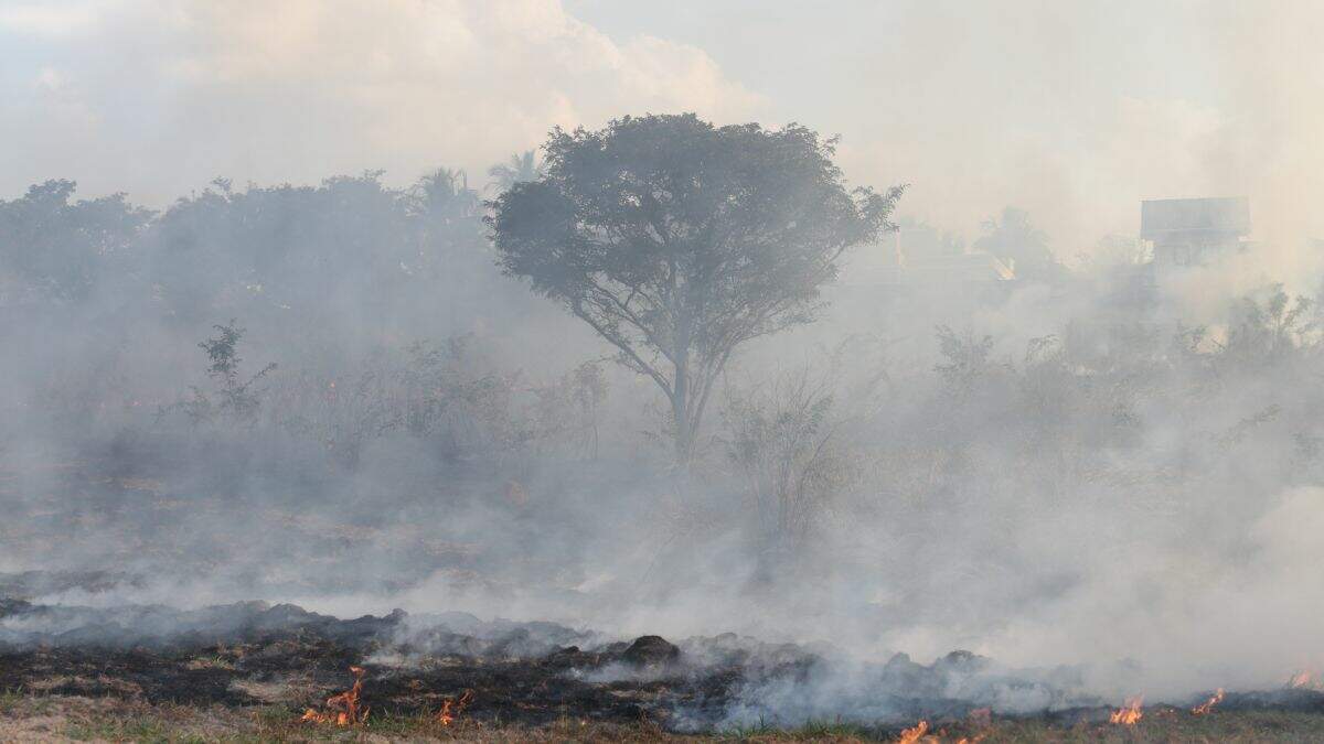 Americana e região já têm segundo ano com maior número de focos de incêndio desde 1998