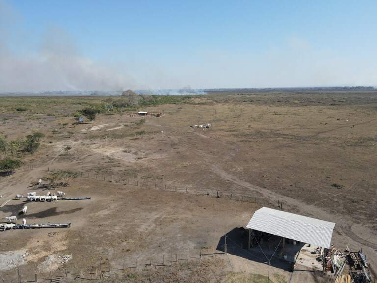 PF investiga incêndios criminosos para criação de gado em terras da União no Pantanal