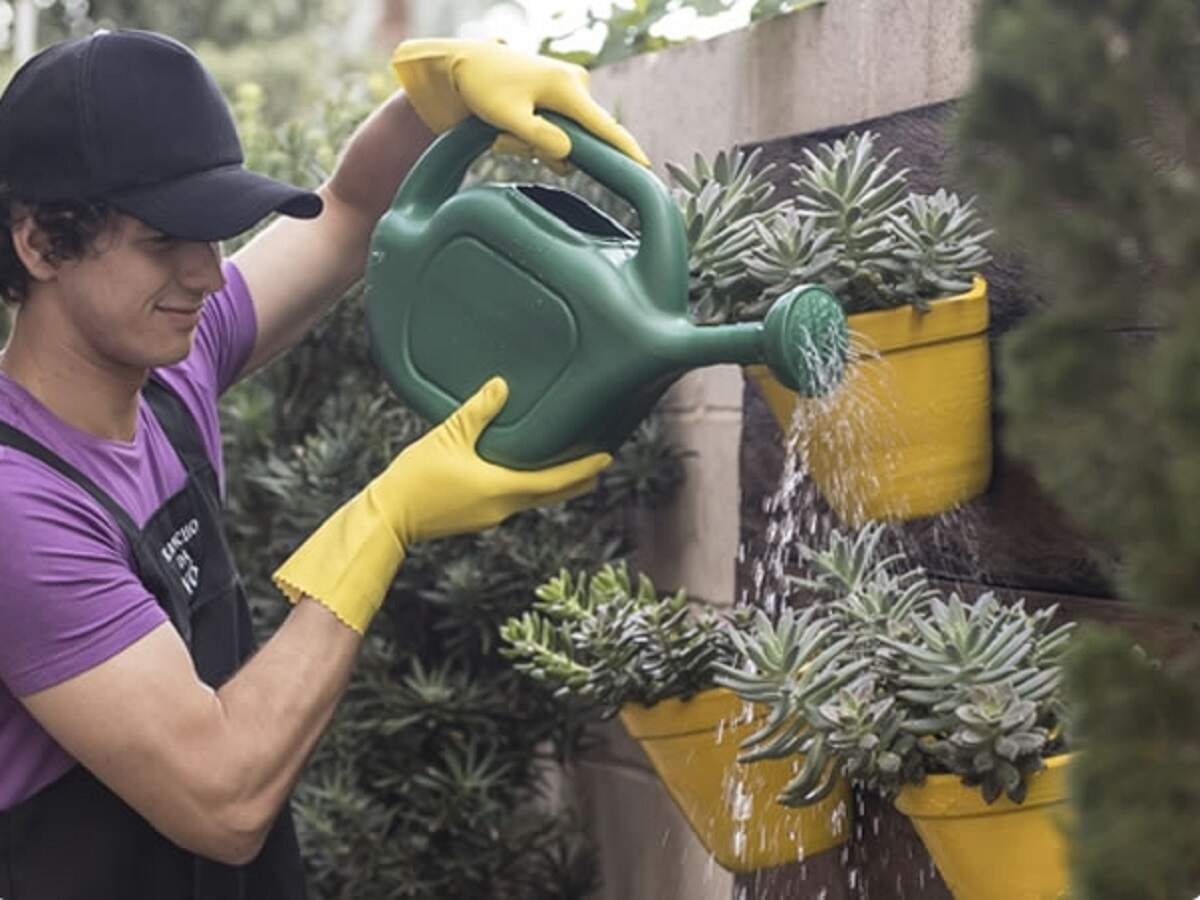 Primavera, é hora de revitalizar seu jardim