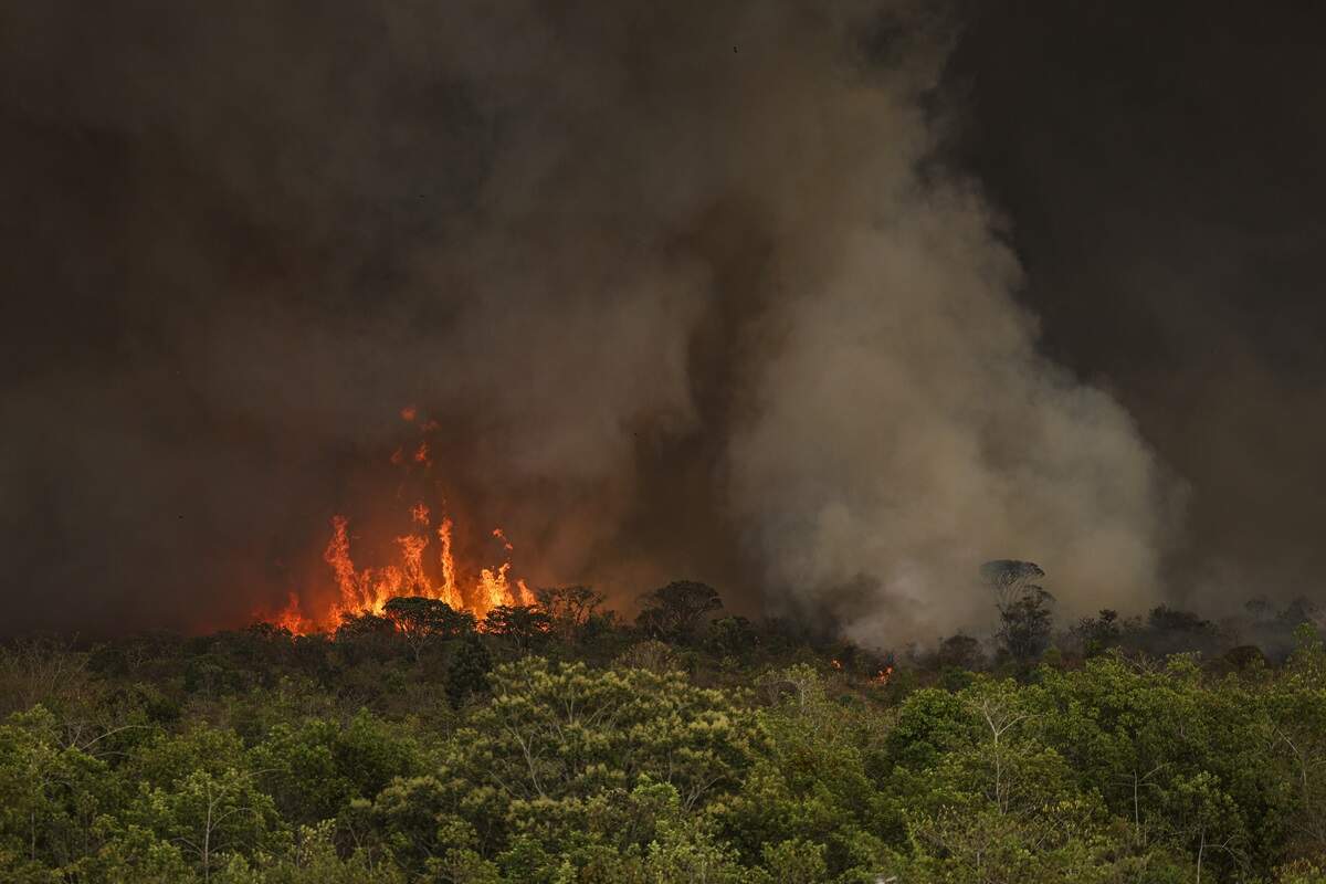 Área queimada cresce 150% até setembro ante 2023, aponta MapBiomas