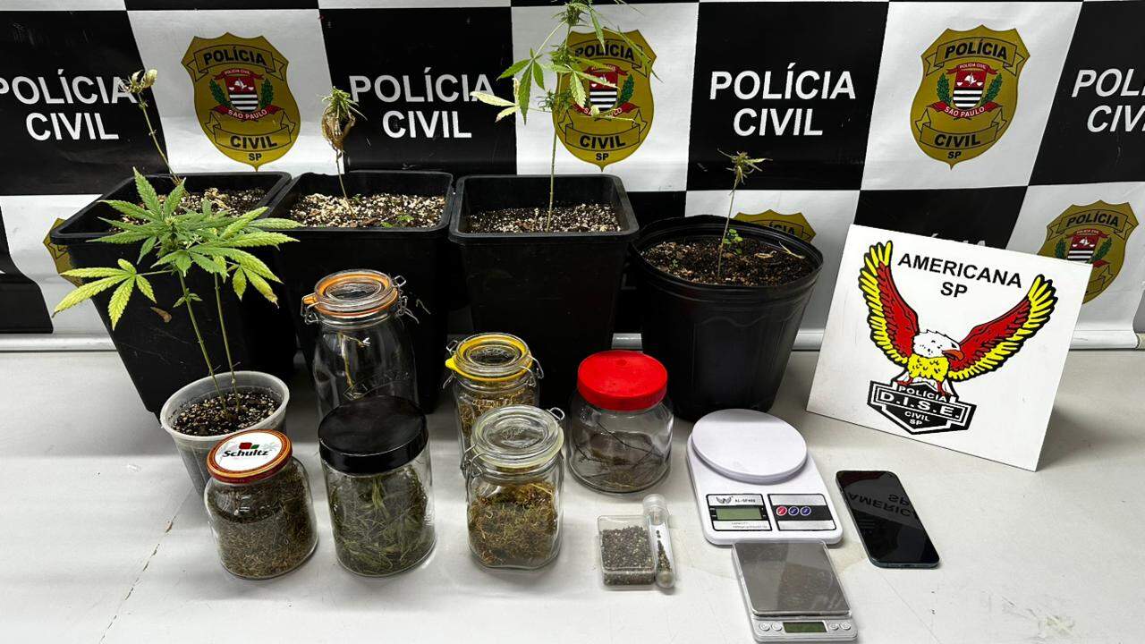 Homem que cultivava maconha em casa é preso pela Dise, em Americana