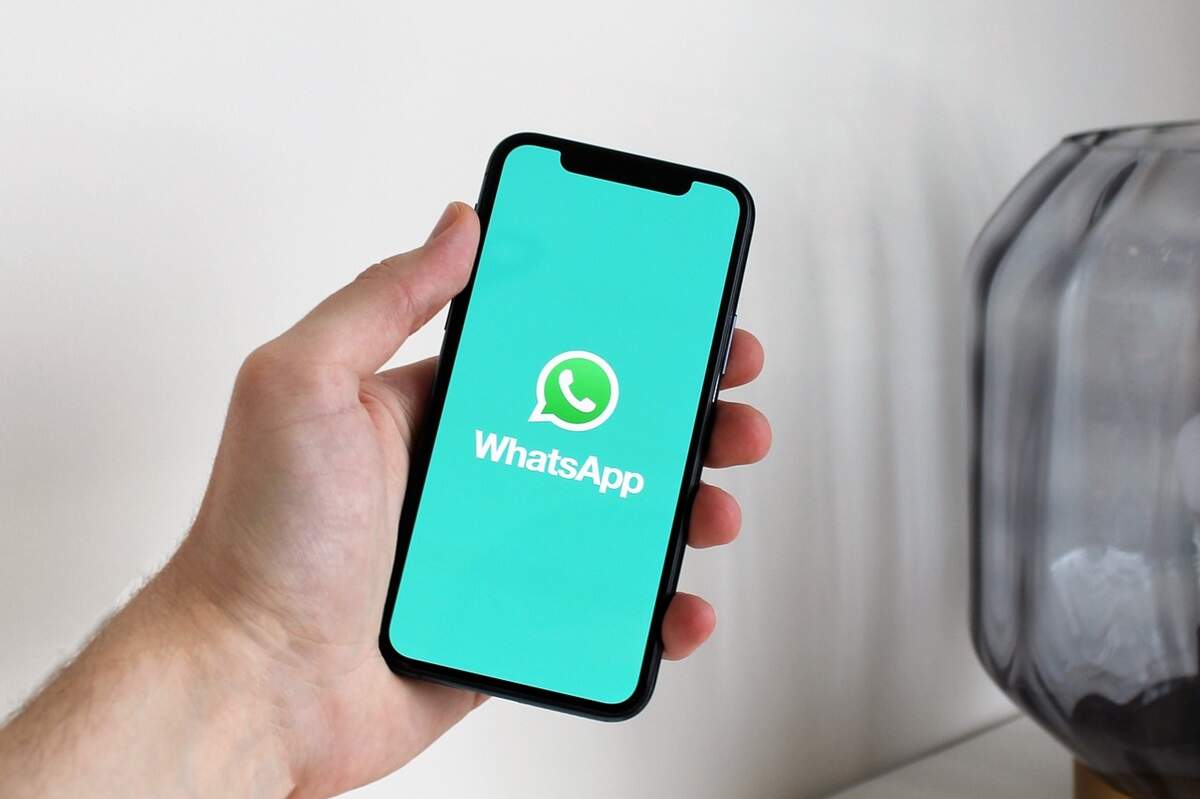 WhatsApp colorido? App testa função para aplicar cores que vão além do tradicional verde